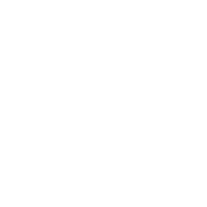 Mucho Burrito